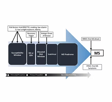 Diagram showing Disease Risk Factors and Prevention in MS and Other Inflammatory Diseases